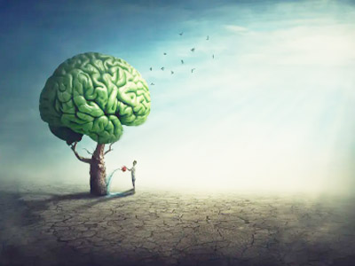 Life Learning - refresh and renew